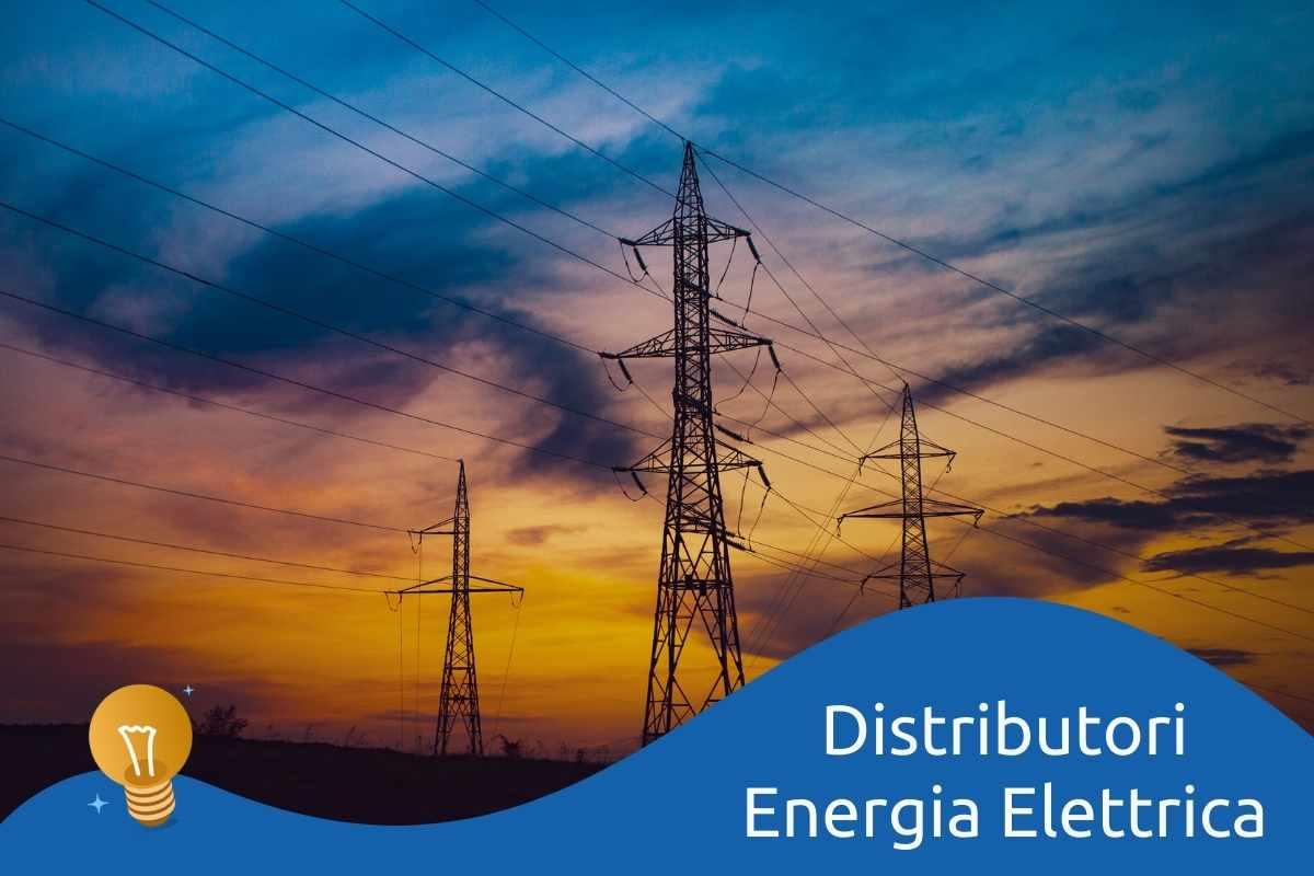Elenco Distributori energia elettrica