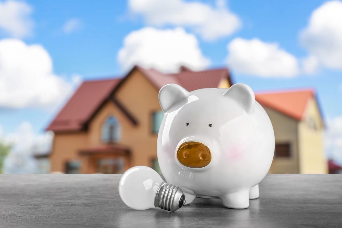 fornitore energia elettrica più conveniente