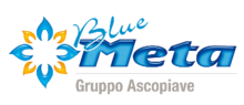 blue meta logo